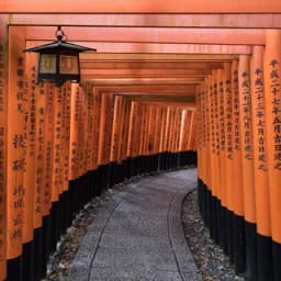 El túnel de torii rojos del santuario Fushimi Inari, en Kioto