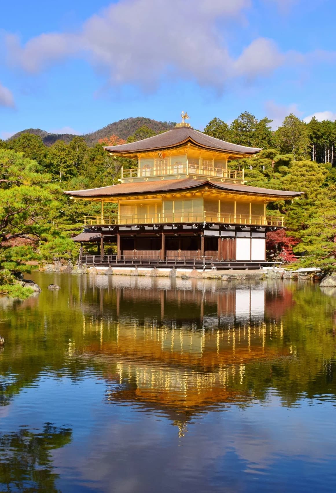 Pabellón Dorado Kinkaku-ji reflejado en el estanque y rodeado de jardines de Kioto
