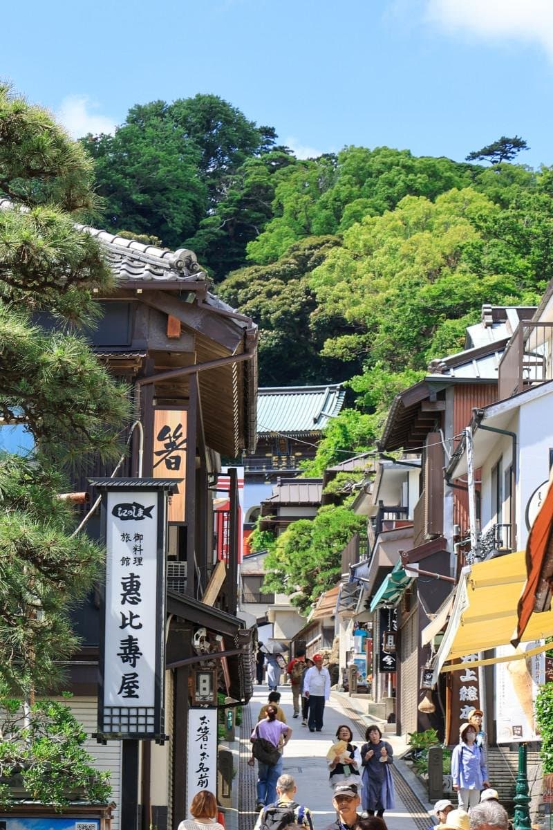Enoshima (Excursión desde Tokio)