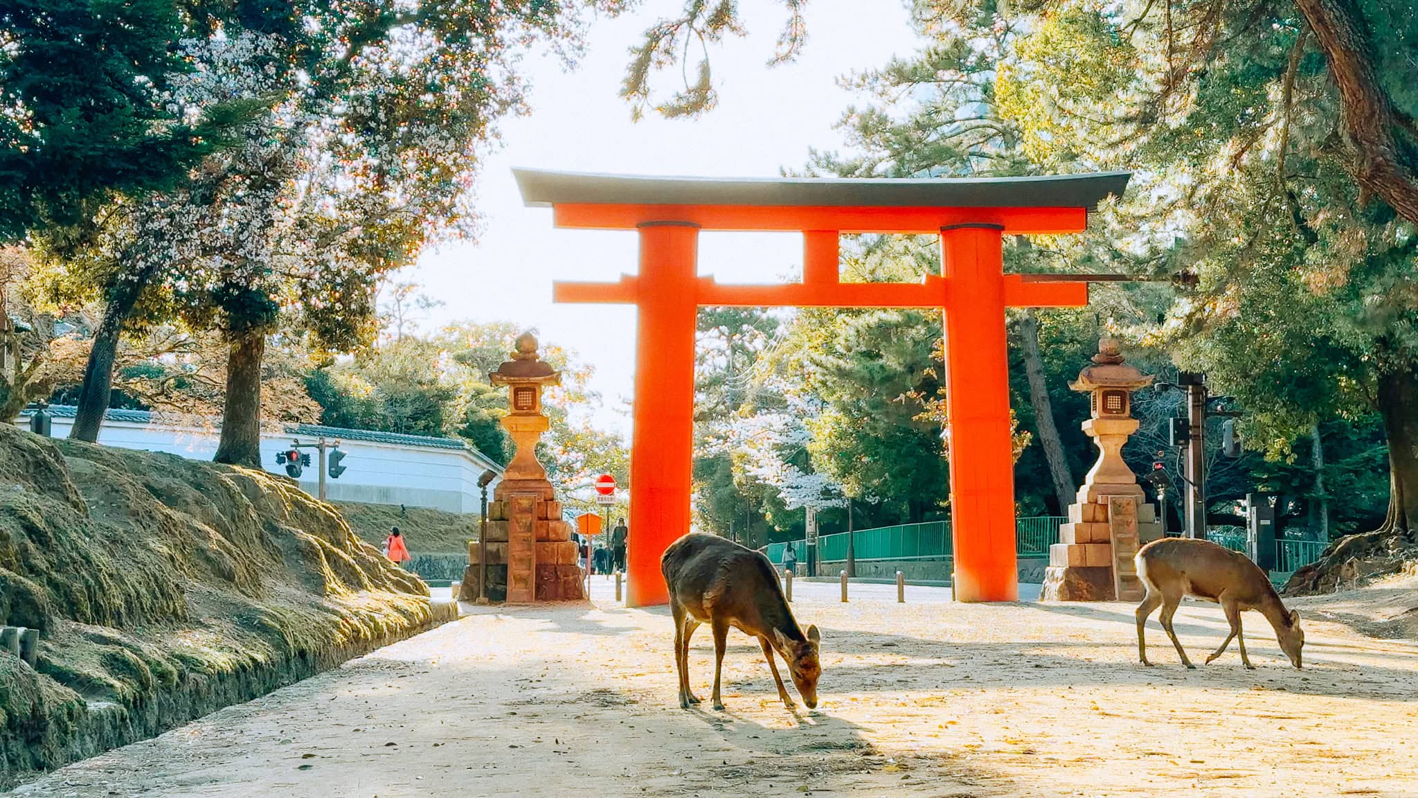Nara
