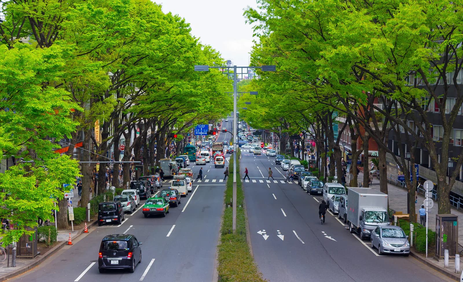 La avenida arbolada de Omotesando con sus tiendas de diseño