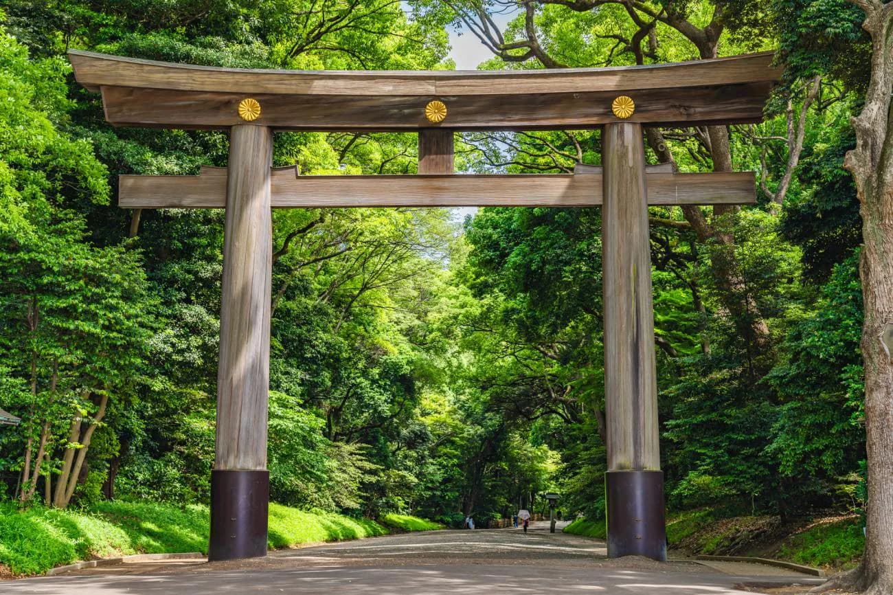 El gran torii de madera del santuario Meiji entre los árboles