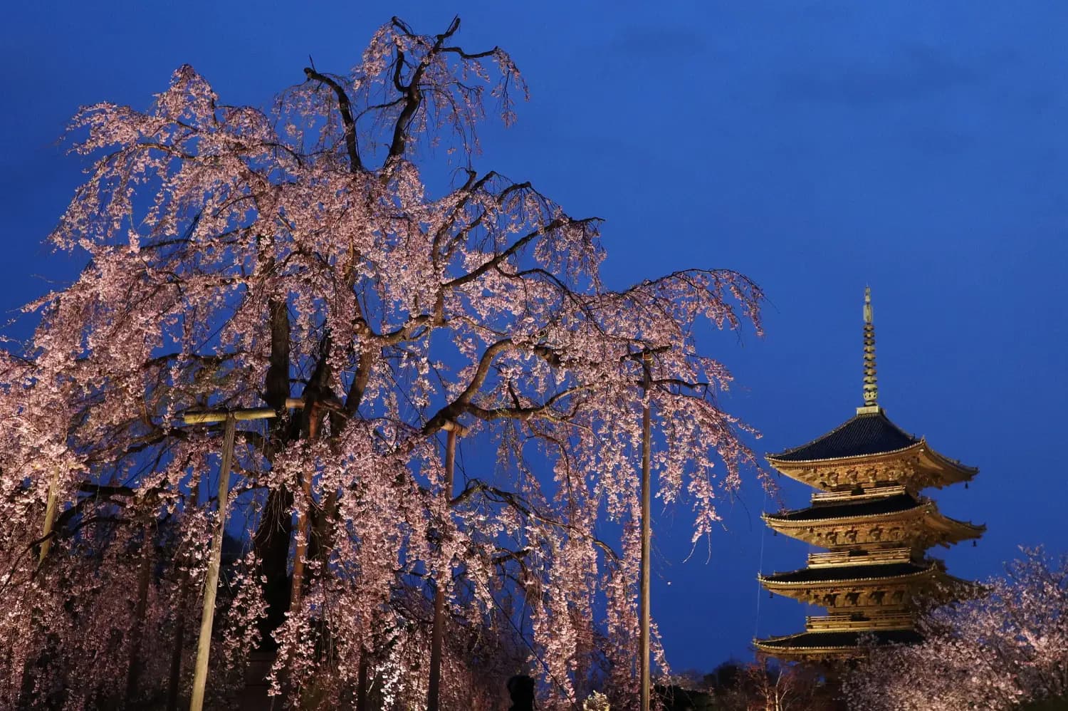 La pagoda de cinco pisos de To-ji, con el recinto del templo alrededor