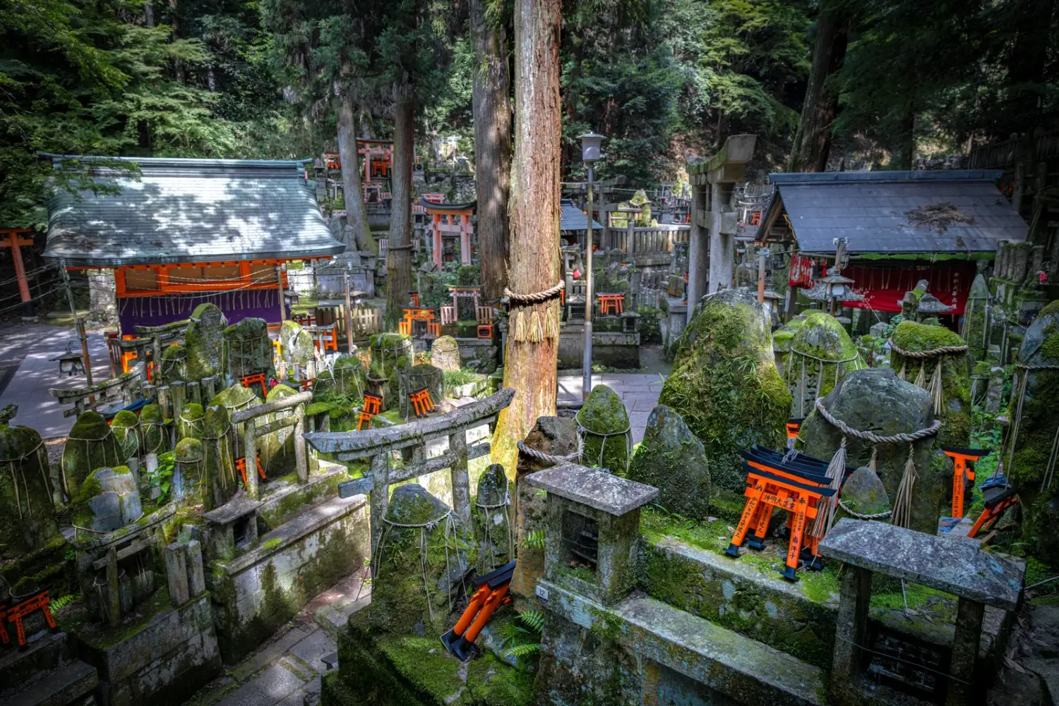 Pequeños santuarios y torii en la ladera del monte Inari