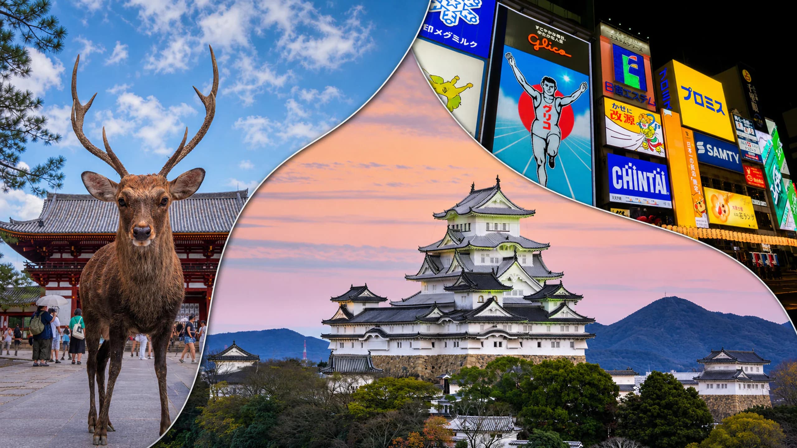Excursiones desde Kioto: castillo de Himeji, Nara y Dotonbori en Osaka