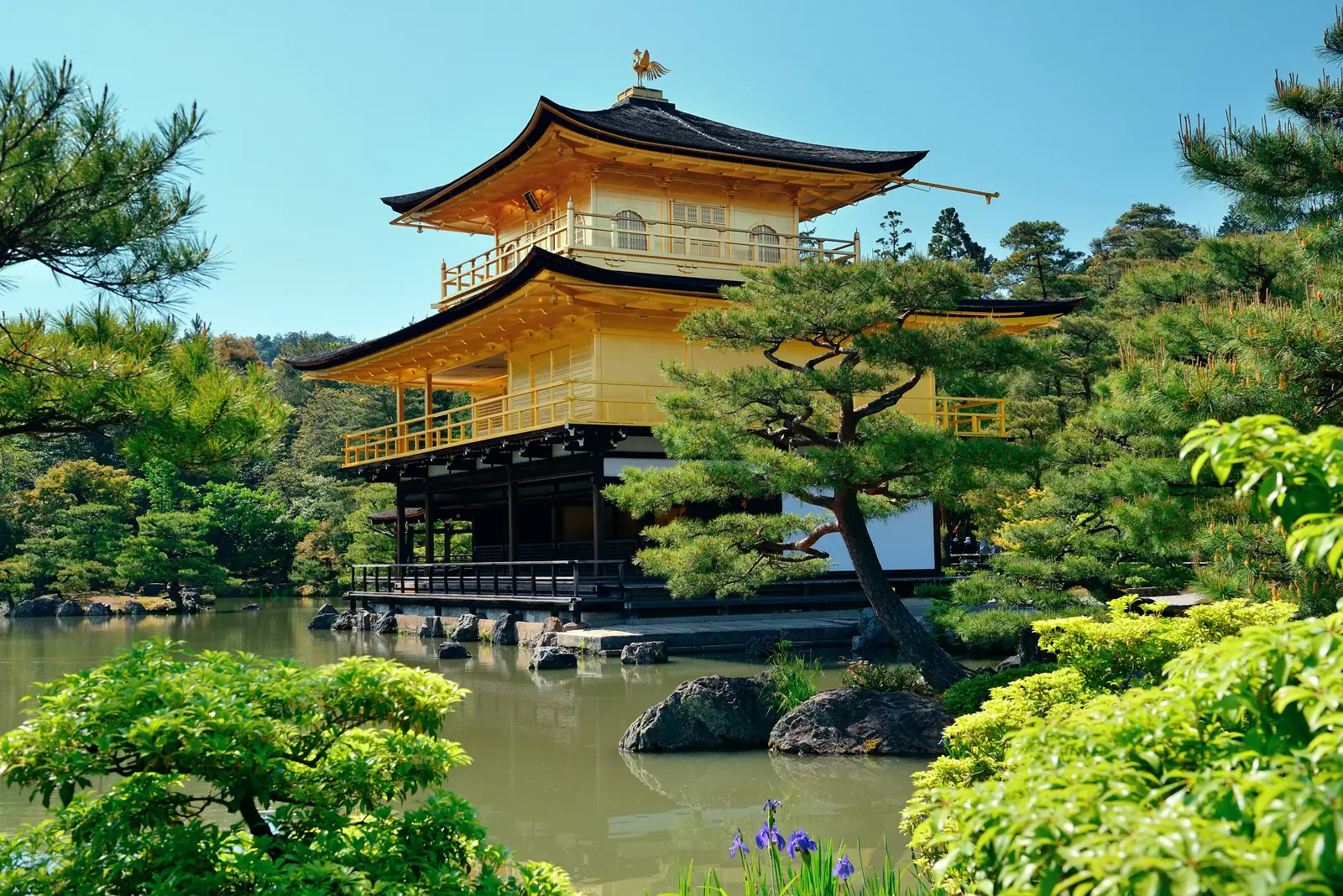 El Kinkaku-ji de Kioto, el Pabellón Dorado, sobre su estanque en primavera