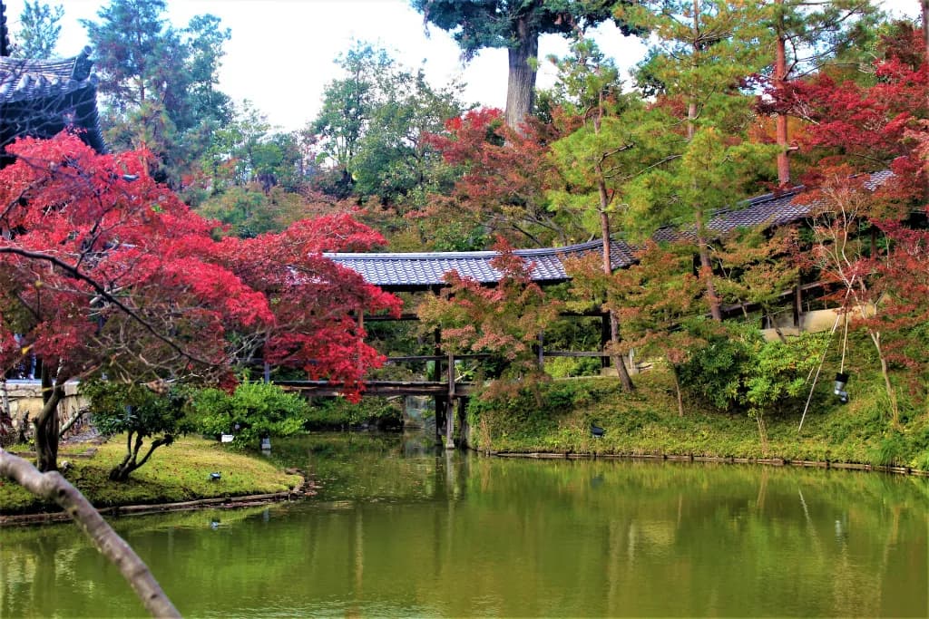 El jardín del estanque de Kodai-ji con los arces rojos de noviembre