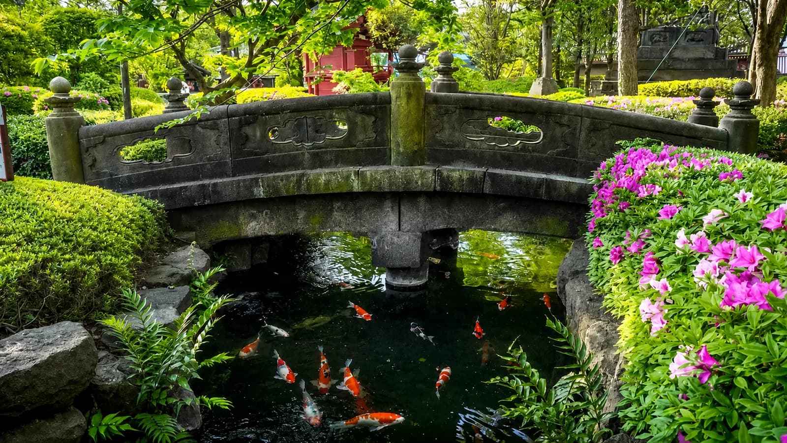 El puente sobre el estanque de carpas koi en los jardines del Senso-ji