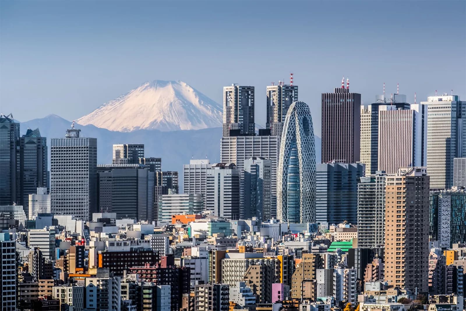 Los rascacielos de Shinjuku con el monte Fuji nevado al fondo