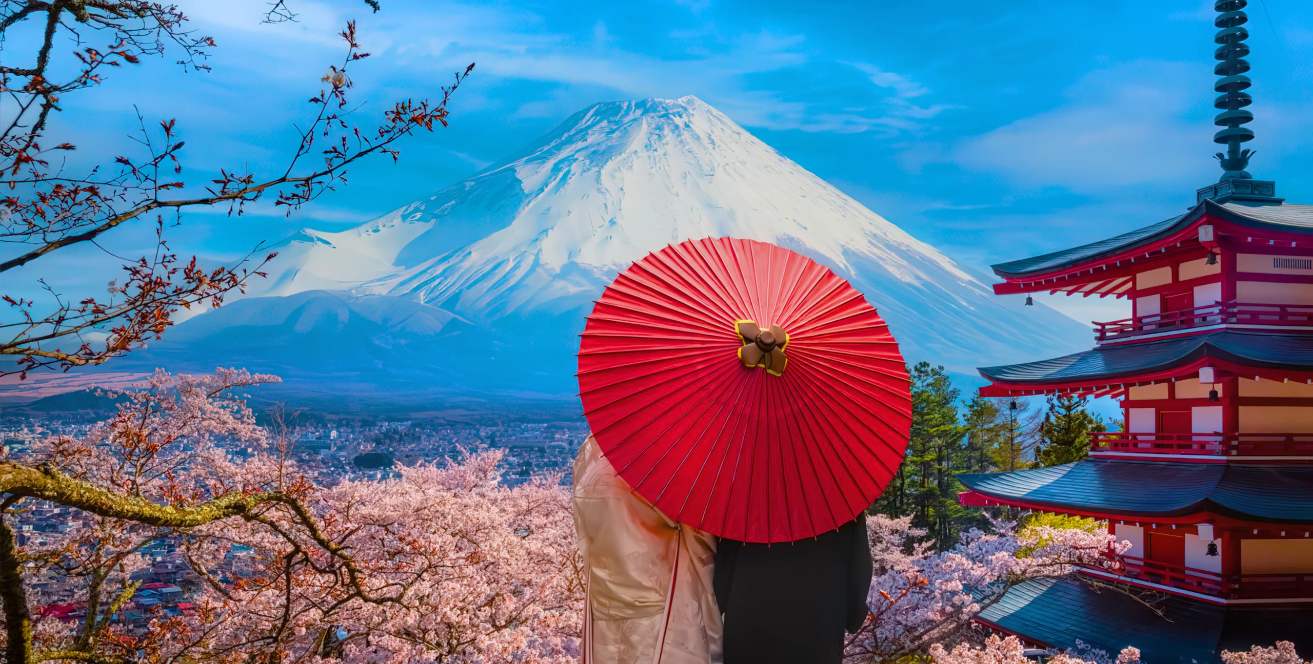 Private Japan tours with local guides from Japón a Fondo
