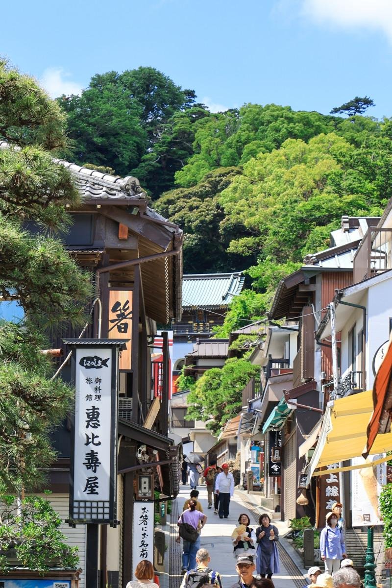 Enoshima (Excursión desde Tokio)