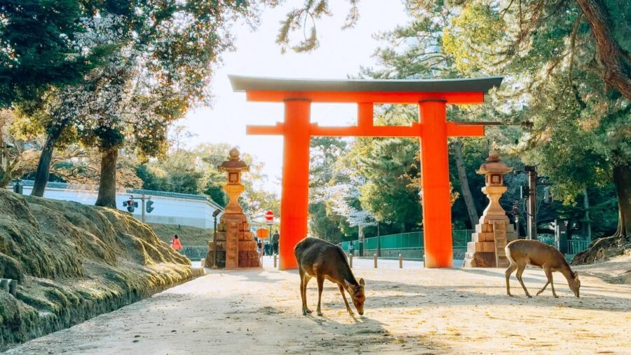 Nara