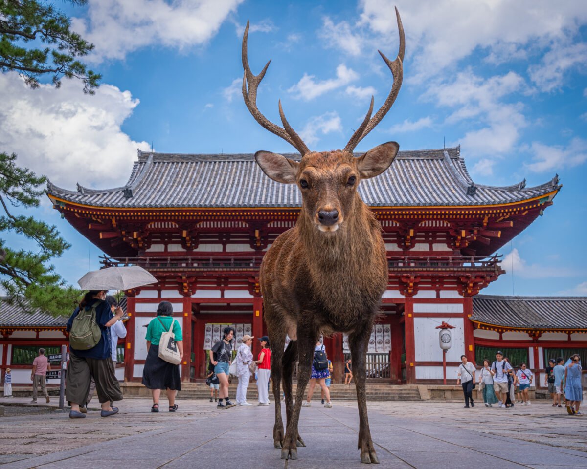 Nara