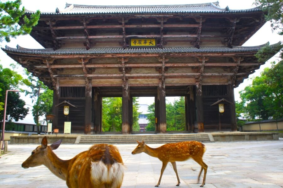 Nara