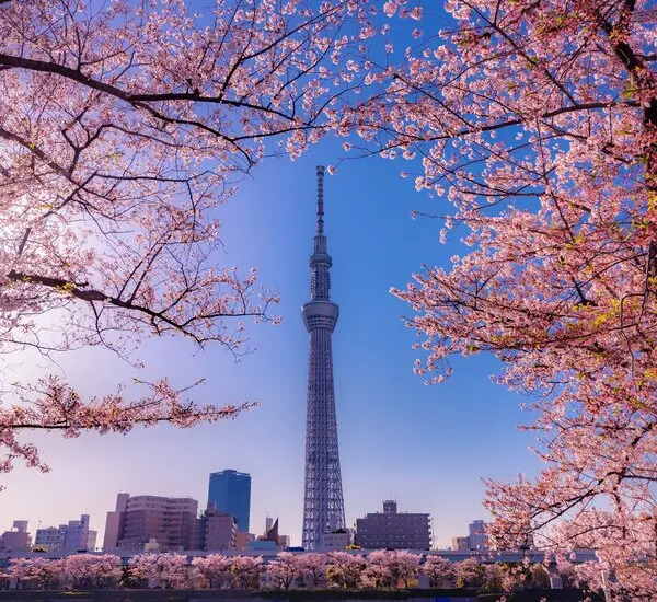 Tokio Tradicional